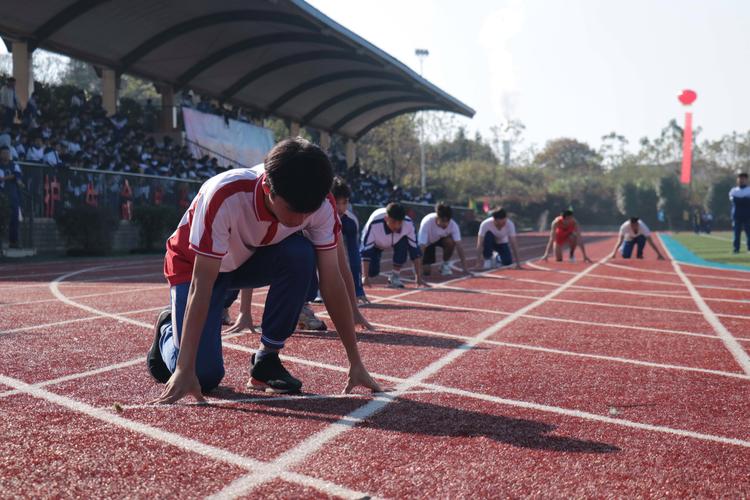 尊龙凯时人生就是博官网：男子鞍马比赛的高难度挑战